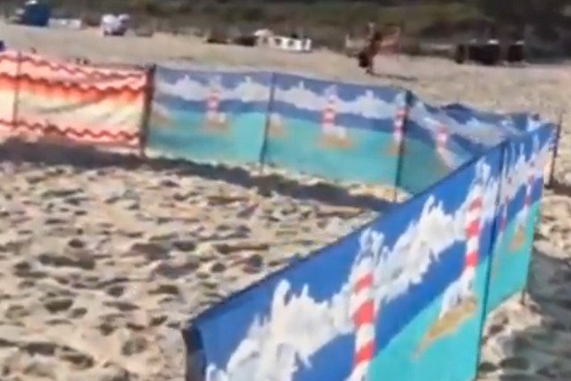 Miejsca na plaży są zajmowane już o poranku