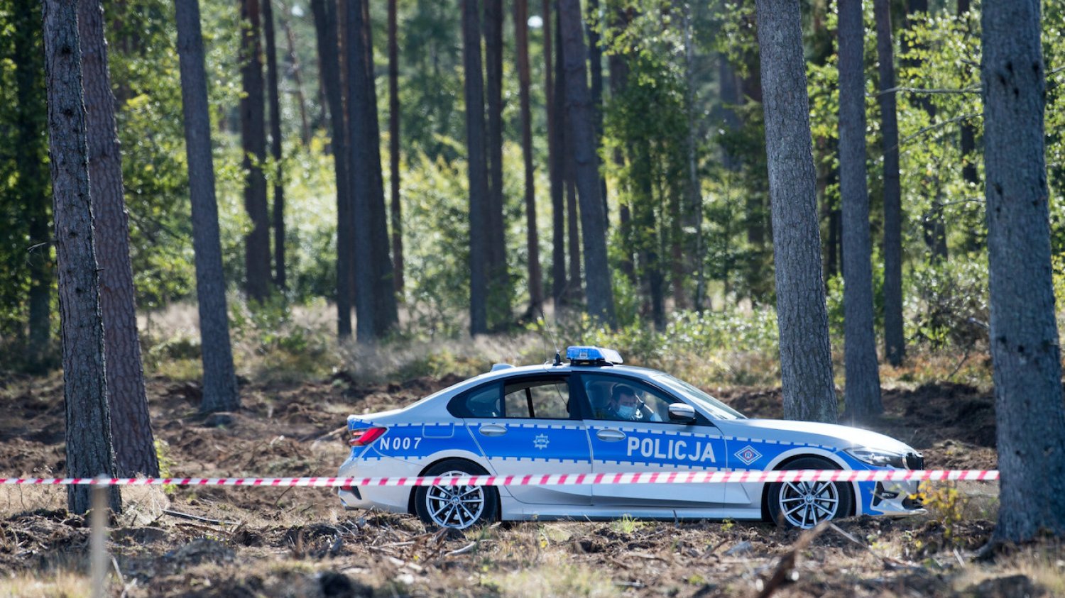 Są nowe informacje o znalezisku w lesie pod Bydgoszczą.