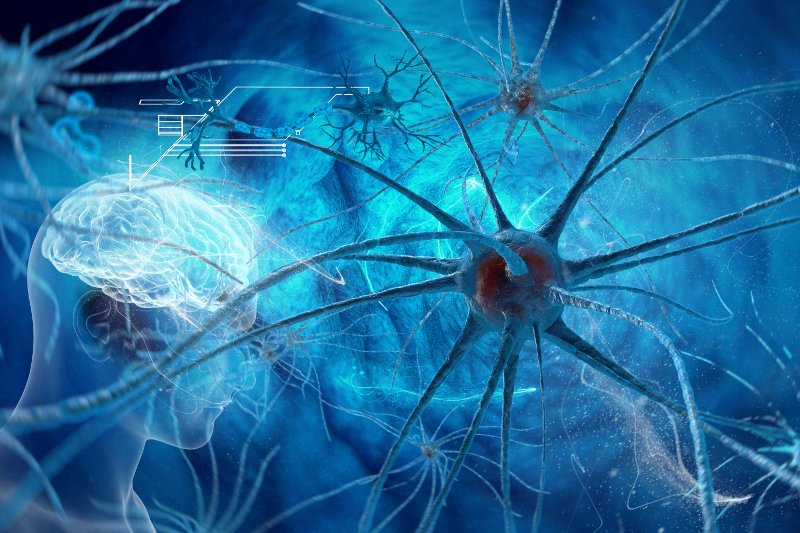 Otyłość wpływa na niszczenie synaps?