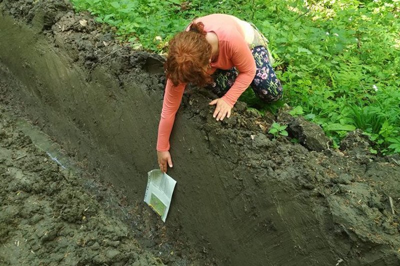 Tak wygląda Puszcza Karpacka w czasie zwózki drewna.