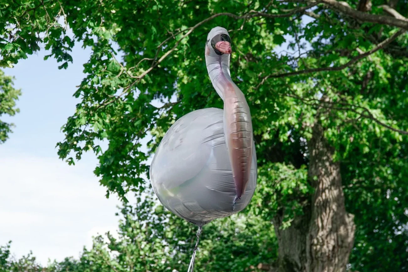 Balon w kształcie łabędzia przeleciał Bałtyk i został znaleziony przez syna polskiego leśnika. Zawierał wzruszającą wiadomość. Balon w kształcie łabędzia przeleciał Bałtyk i został znaleziony przez syna polskiego leśnika. Zawierał wzruszającą wiadomość.