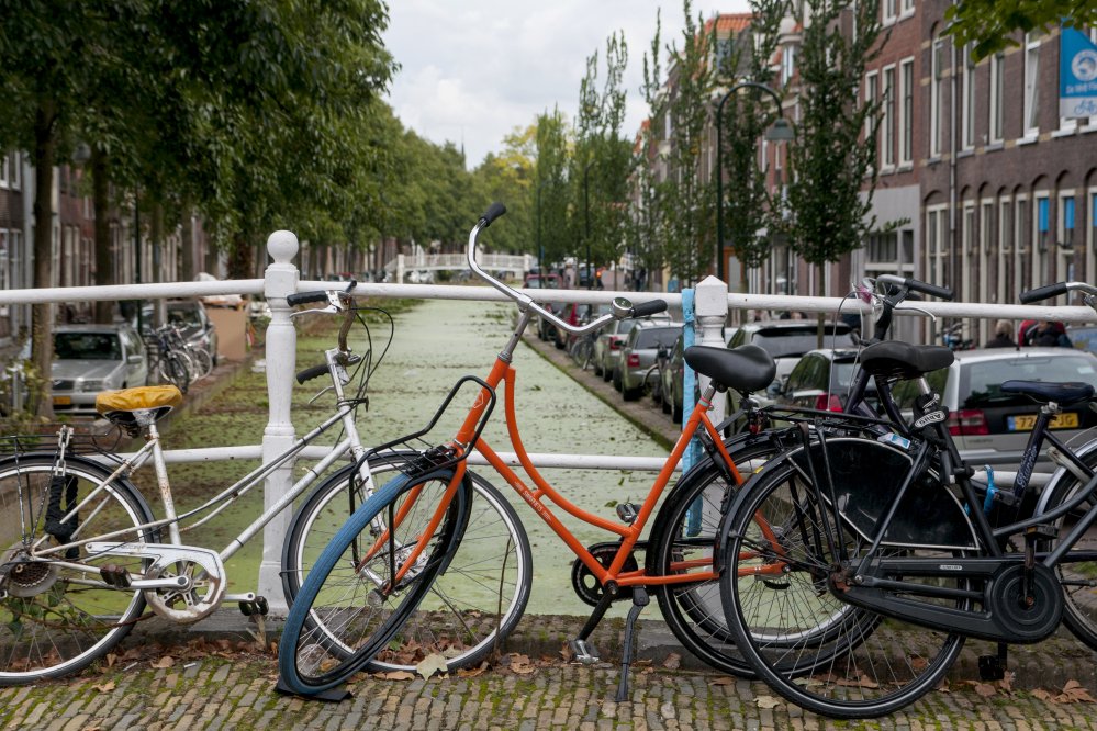 Surowe restrykcje w Holandii z powodu pandemii Covid-19. Lockdown trwa już od kilku tygodni