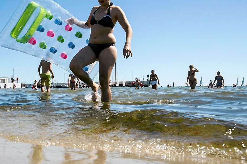Sinice opanowały trójmiejskie kąpieliska. Kąpiel w takich warunkach jest niebezpieczna dla zdrowia.