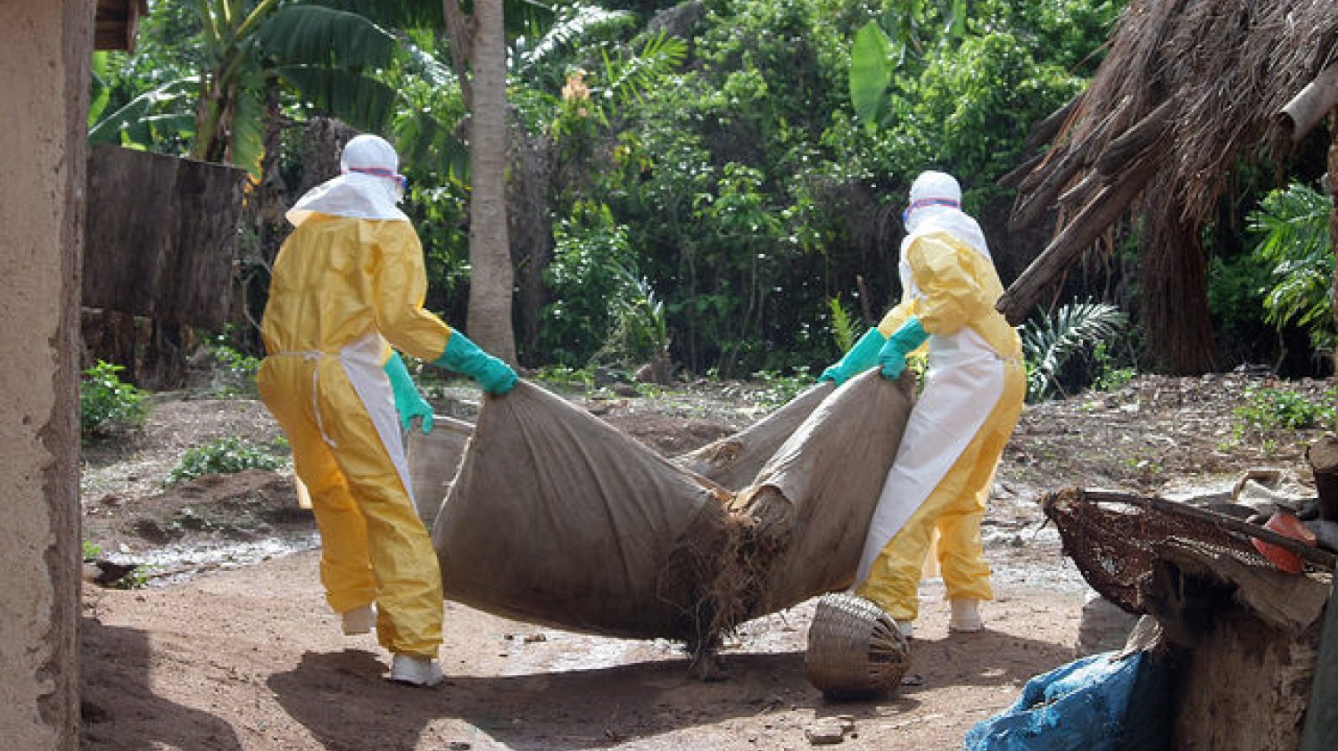 Śmiertelny wirus Ebola zbiera żniwo w Afryce. Dotarł do Europy.