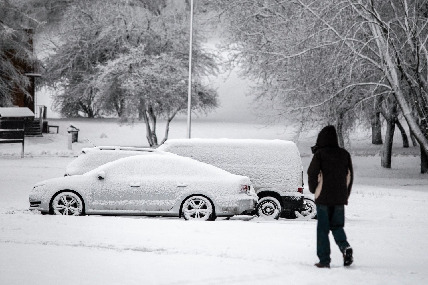 Jaka pogoda w weekend? W Polskę już uderza ekstremalna zima, która przyniesie silne mrozy i opady śniegu.