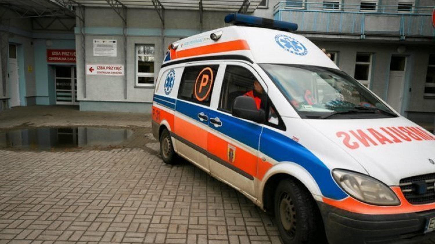 Nie żyje 12-latek pogryziony przez amstaffa w Przemyślu.