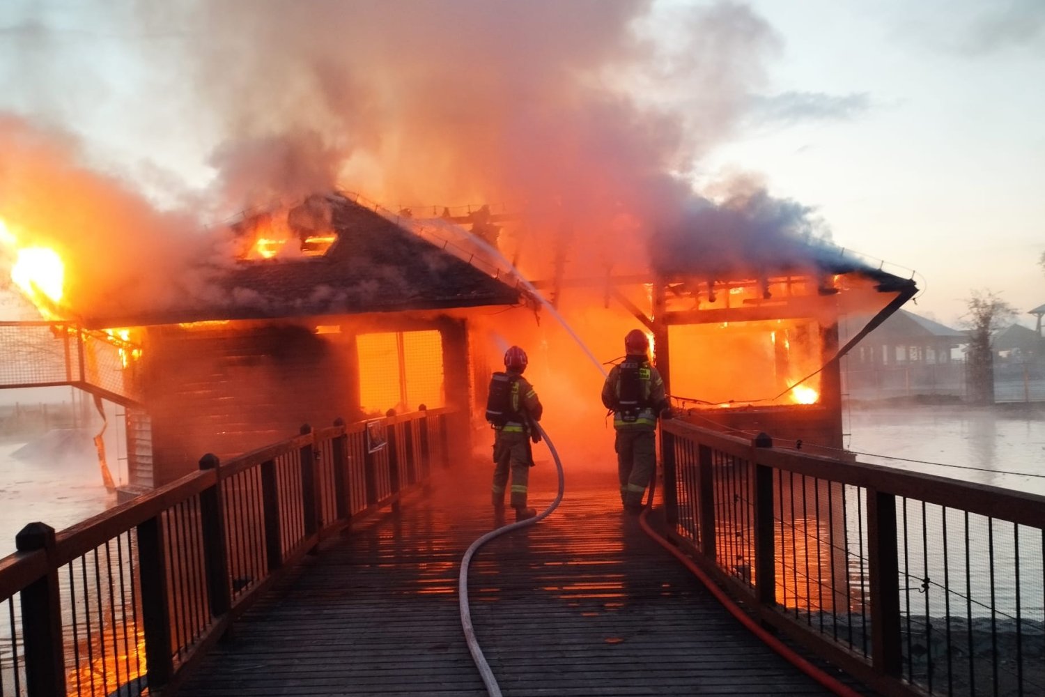 Pożar w zoo w Borysewie.