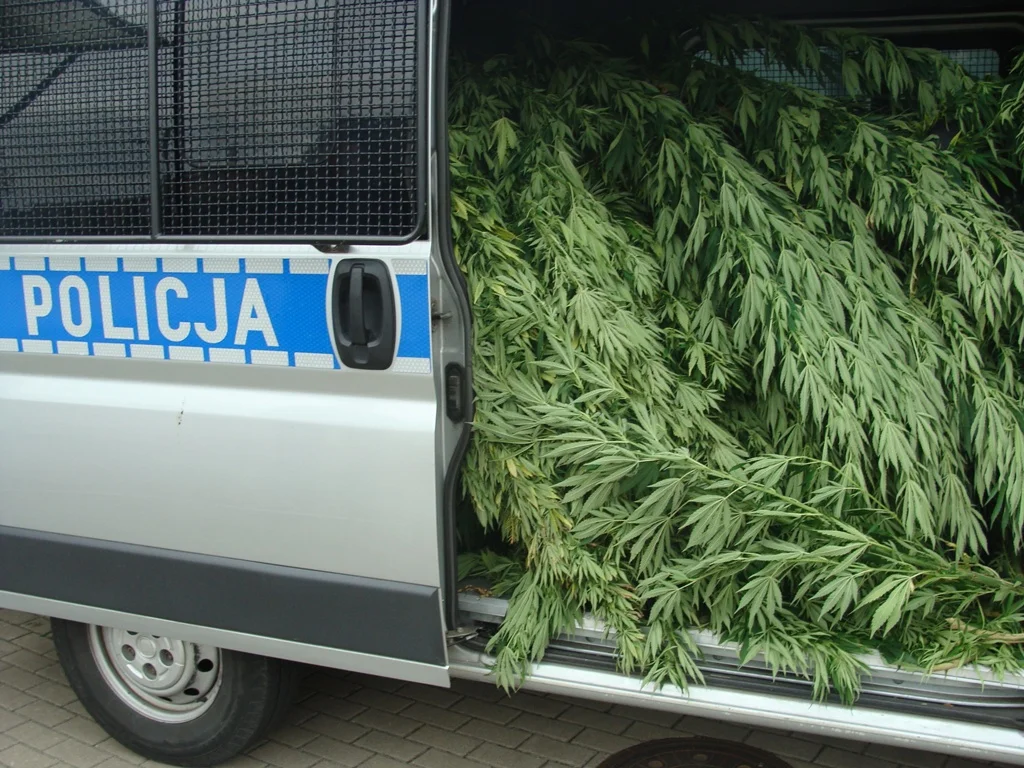 Skonfiskowane "łupy" policjantów są czasem pokaźne.