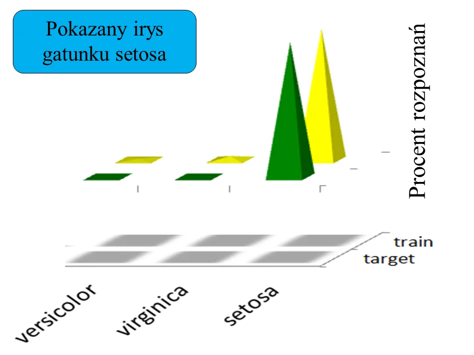 Wynik egzaminowania mojego perceptronu. Opis w tekście.