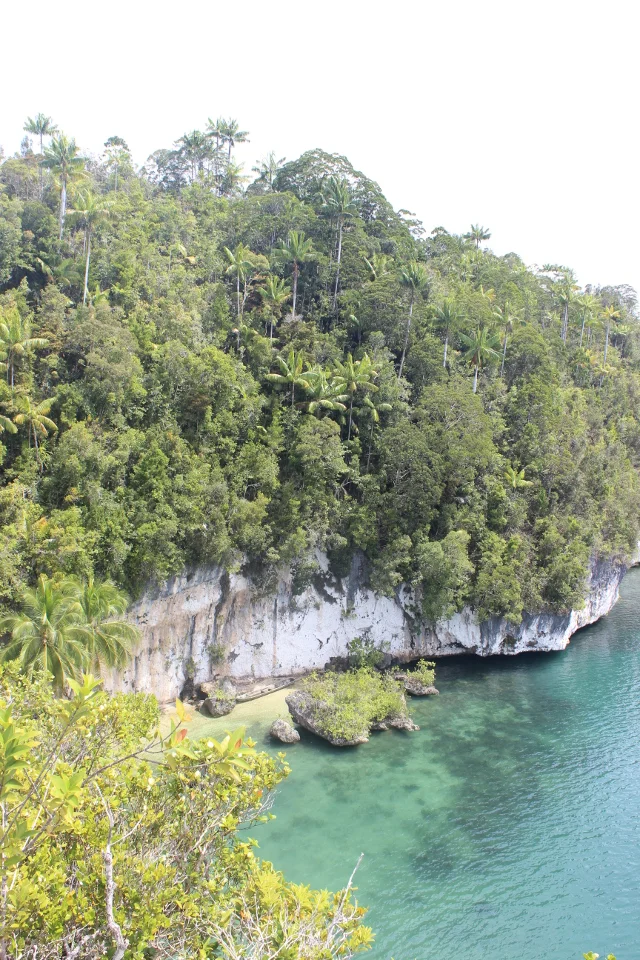 Raja Ampat.