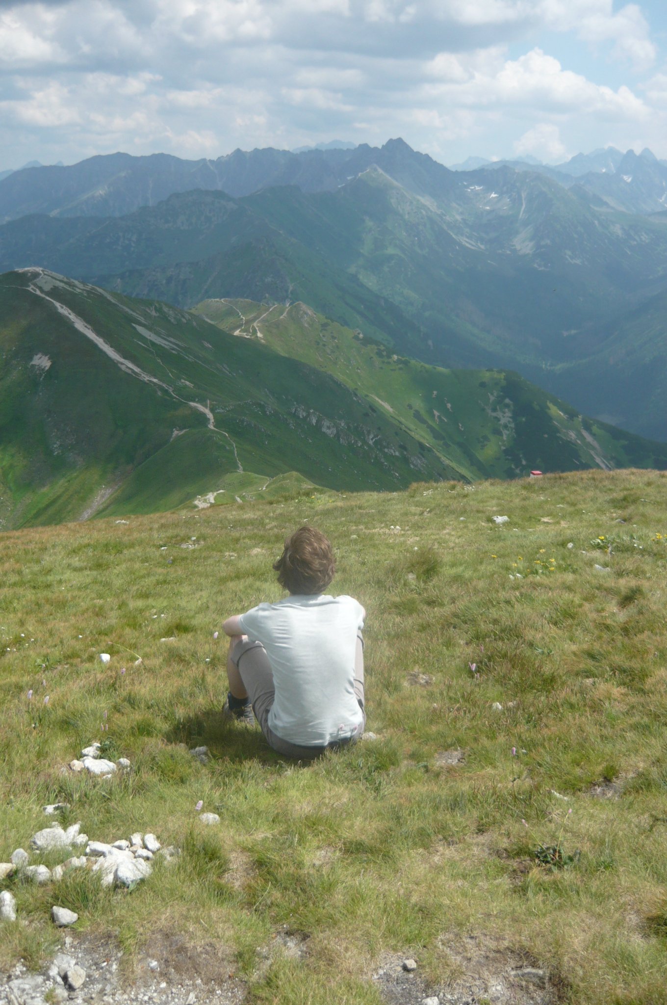 Aleksander Czarnecki