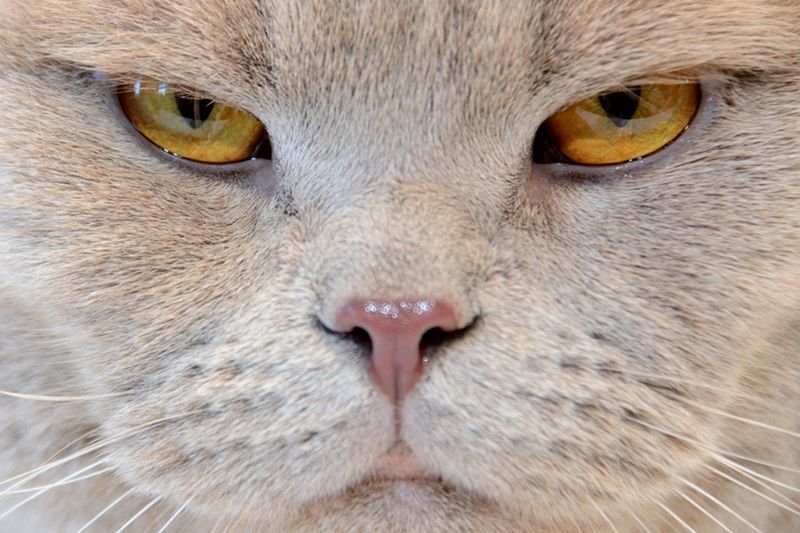 Dlaczego czasem warto doceniać swoich internetowych hejterów?