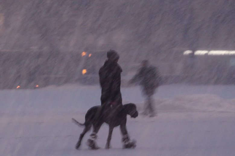 Gdzie ta wiosna? Na święta synoptycy zapowiadają opady śniegu i silny wiatr.