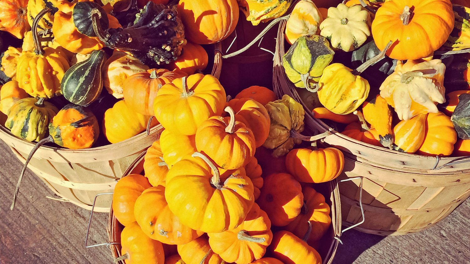 Na bazarkach jest ich coraz więcej! Zaczął się sezon na dynie