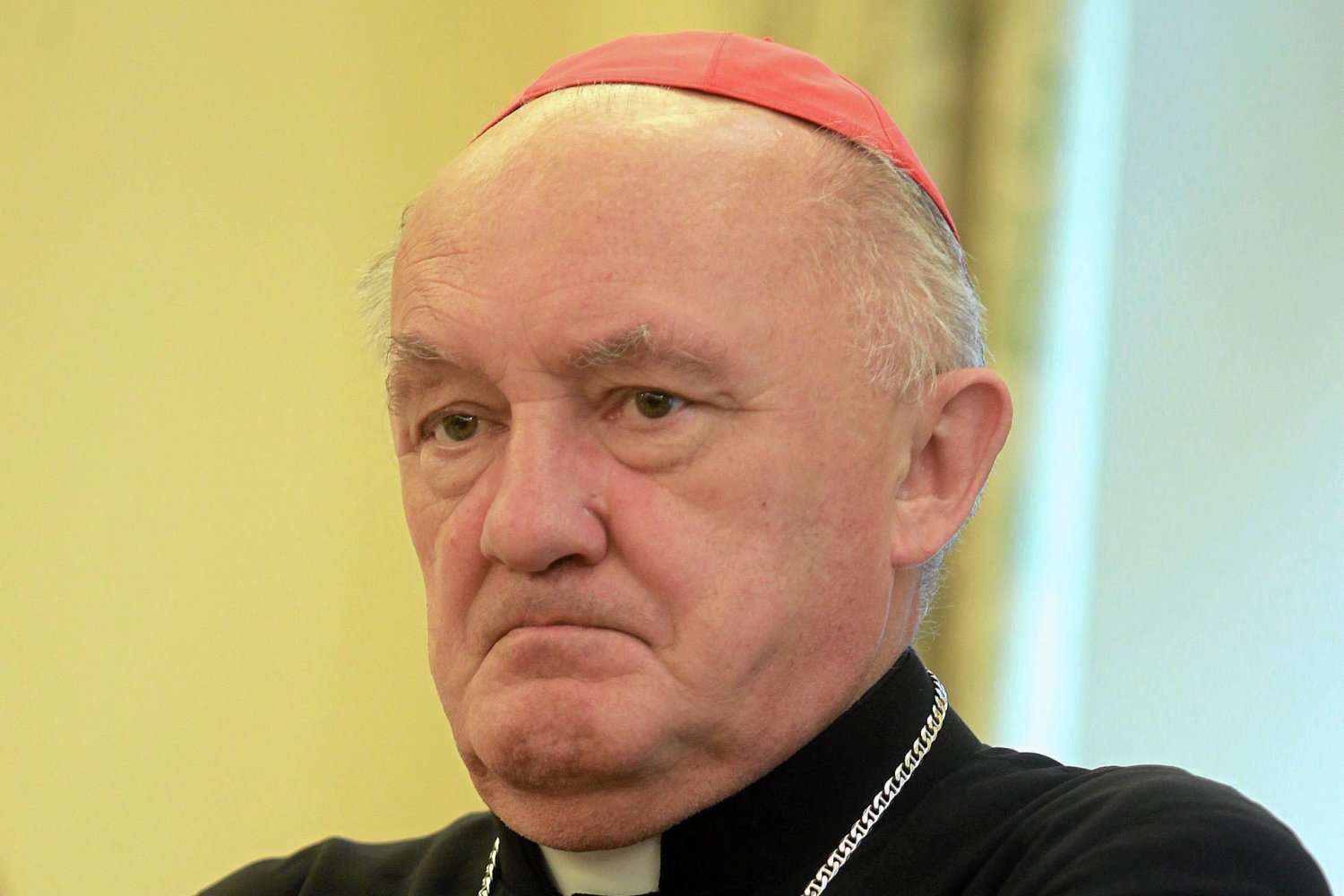 Kardynał Kazimierz Nycz przekonuje, że w Polsce zmagamy się z problemem braku chętnych do zostania kapłanami.