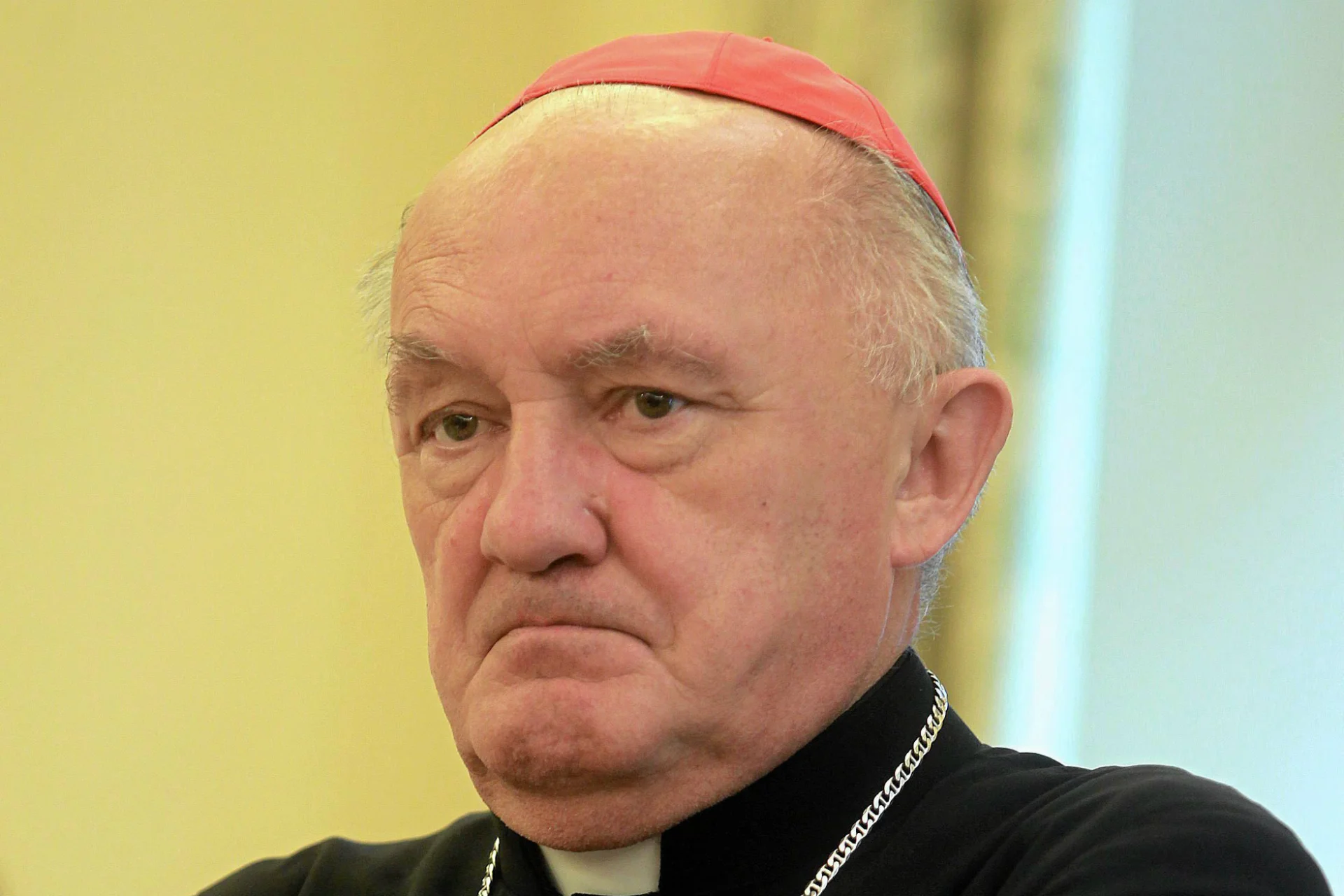 Kardynał Kazimierz Nycz przekonuje, że w Polsce zmagamy się z problemem braku chętnych do zostania kapłanami.