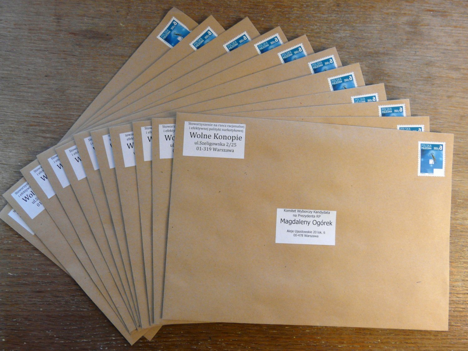 Co kandydaci na Prezydenta mają do powiedzenia na temat marihuany?