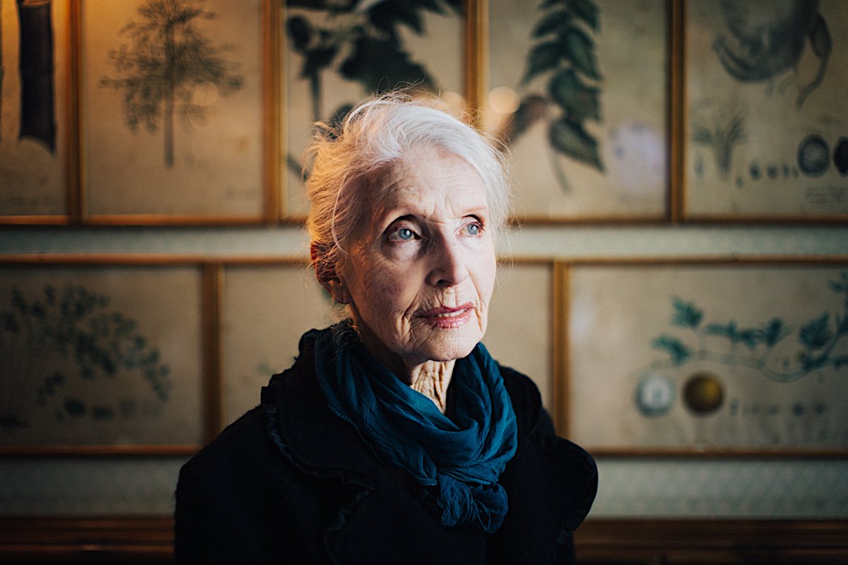 Helena Norowicz została gwiazdą po 80. roku życia