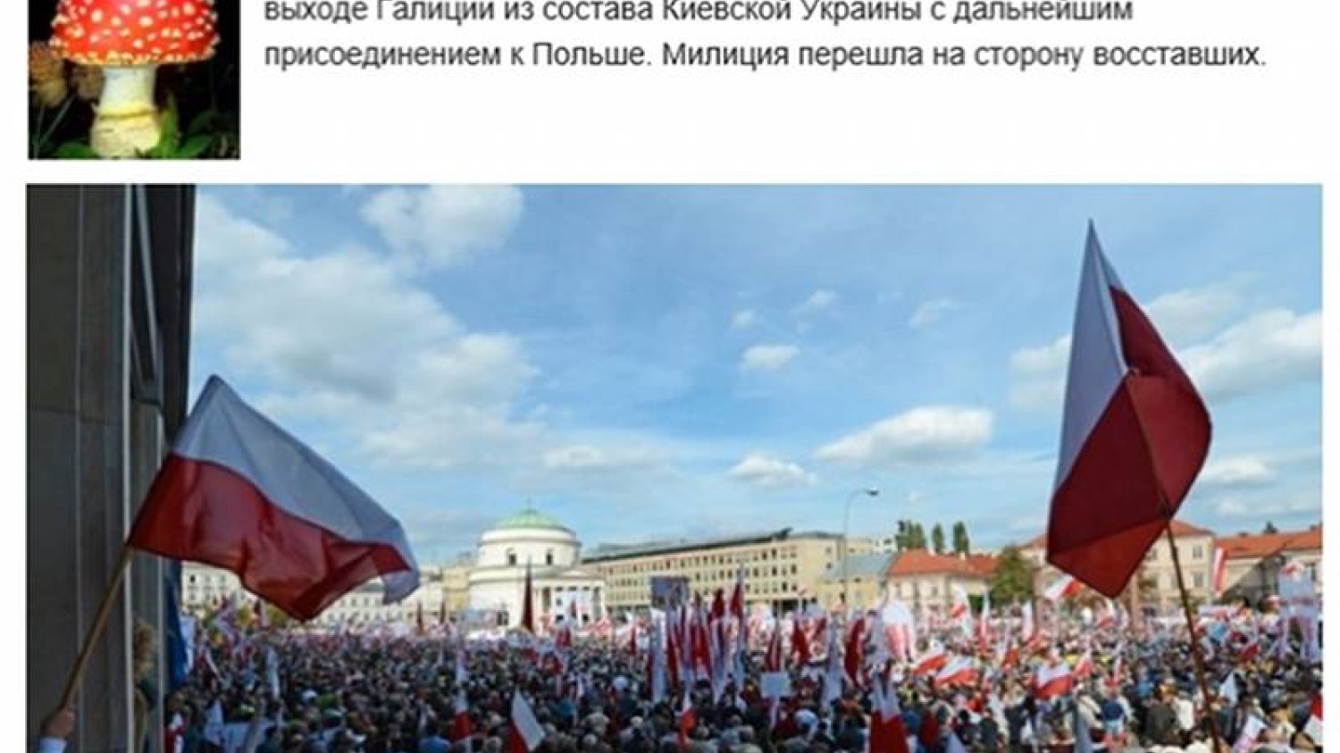 Marsz Prawa i Sprawiedliwości został przedstawiony jako demonstracja mieszkańców Tarnopolu na Ukrainie domagających się przyłączenia do Polski