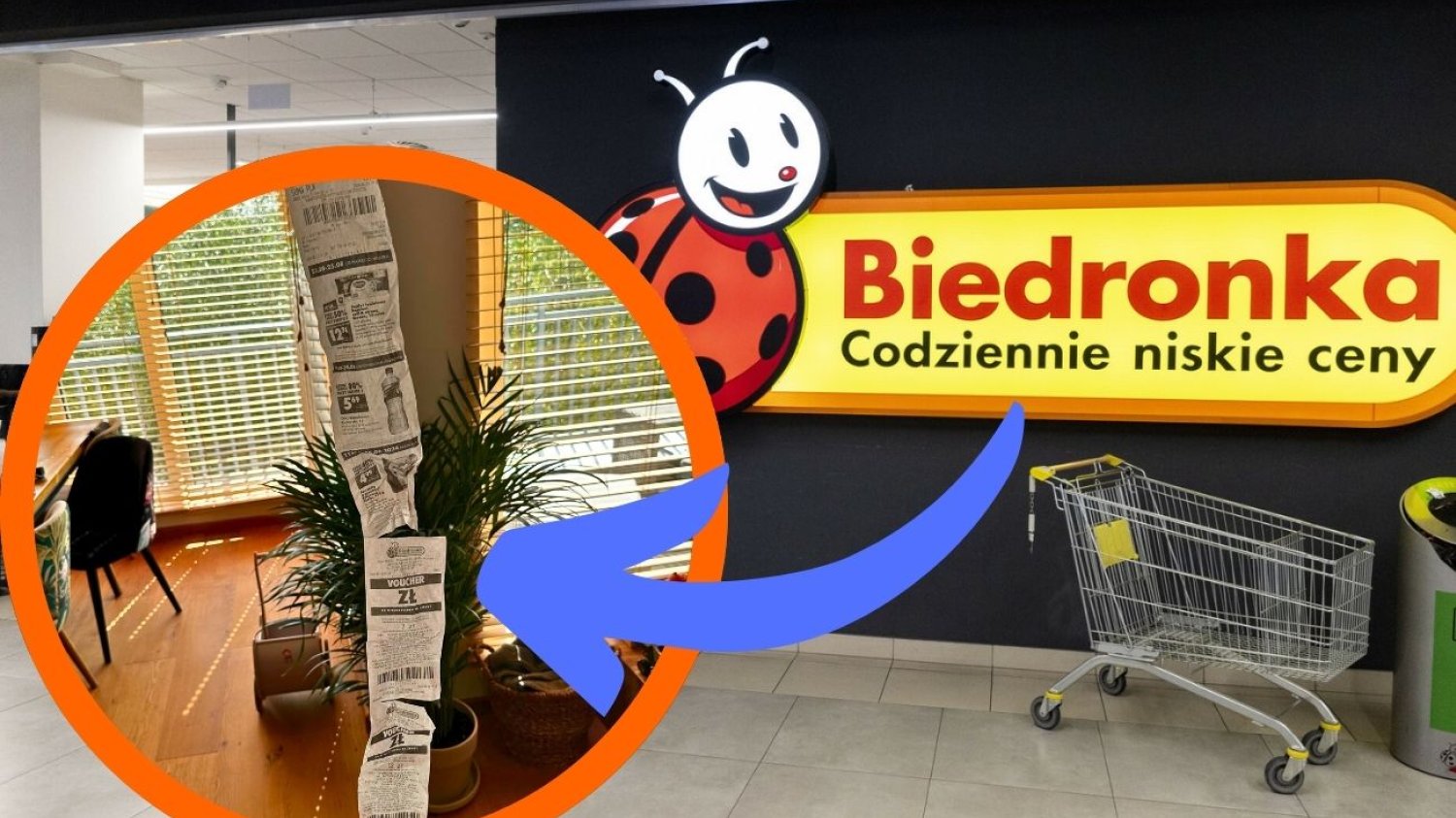 Biedronka poszła na całość. Tak wyglądał paragon za zakup dwóch produktów
