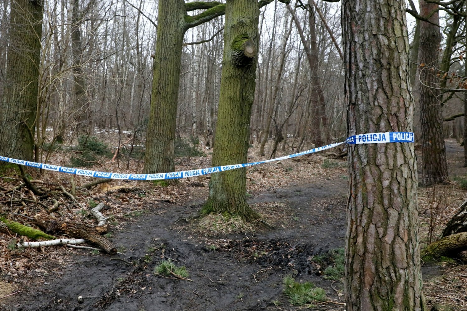 W Borowinach 11-latka została postrzelona przez 14-letniego brata. Zdjęcie ilustracyjne