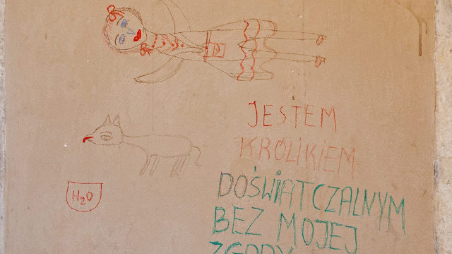 Rysunki i napisy, które Hanna G. umieściła na elewacji krakowskich Sukiennic