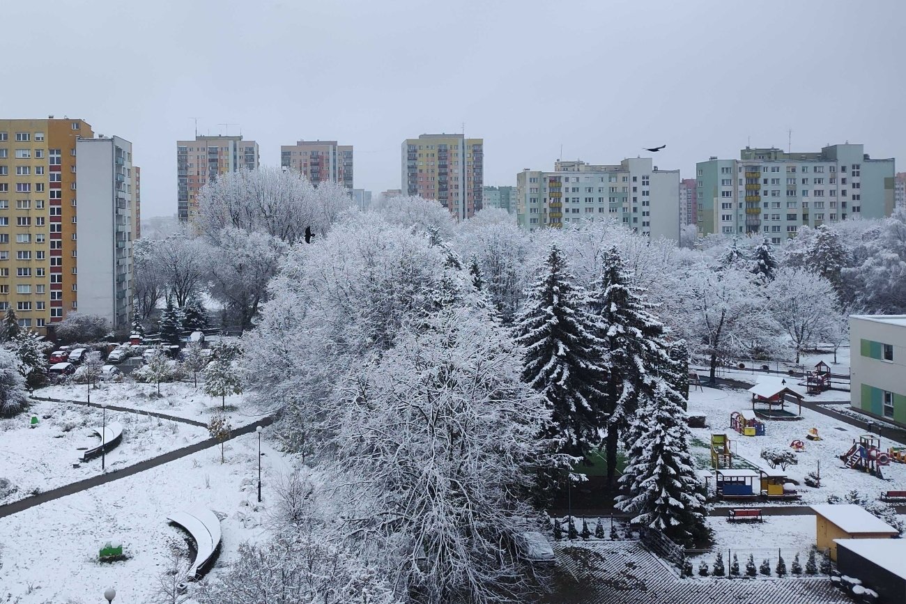 Pierwszy śnieg w Warszawie. Jaka prognoza pogody na weekend? (18-19.11)