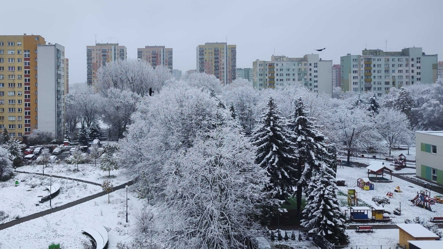 Pierwszy śnieg w Warszawie. Jaka prognoza pogody na weekend? (18-19.11)