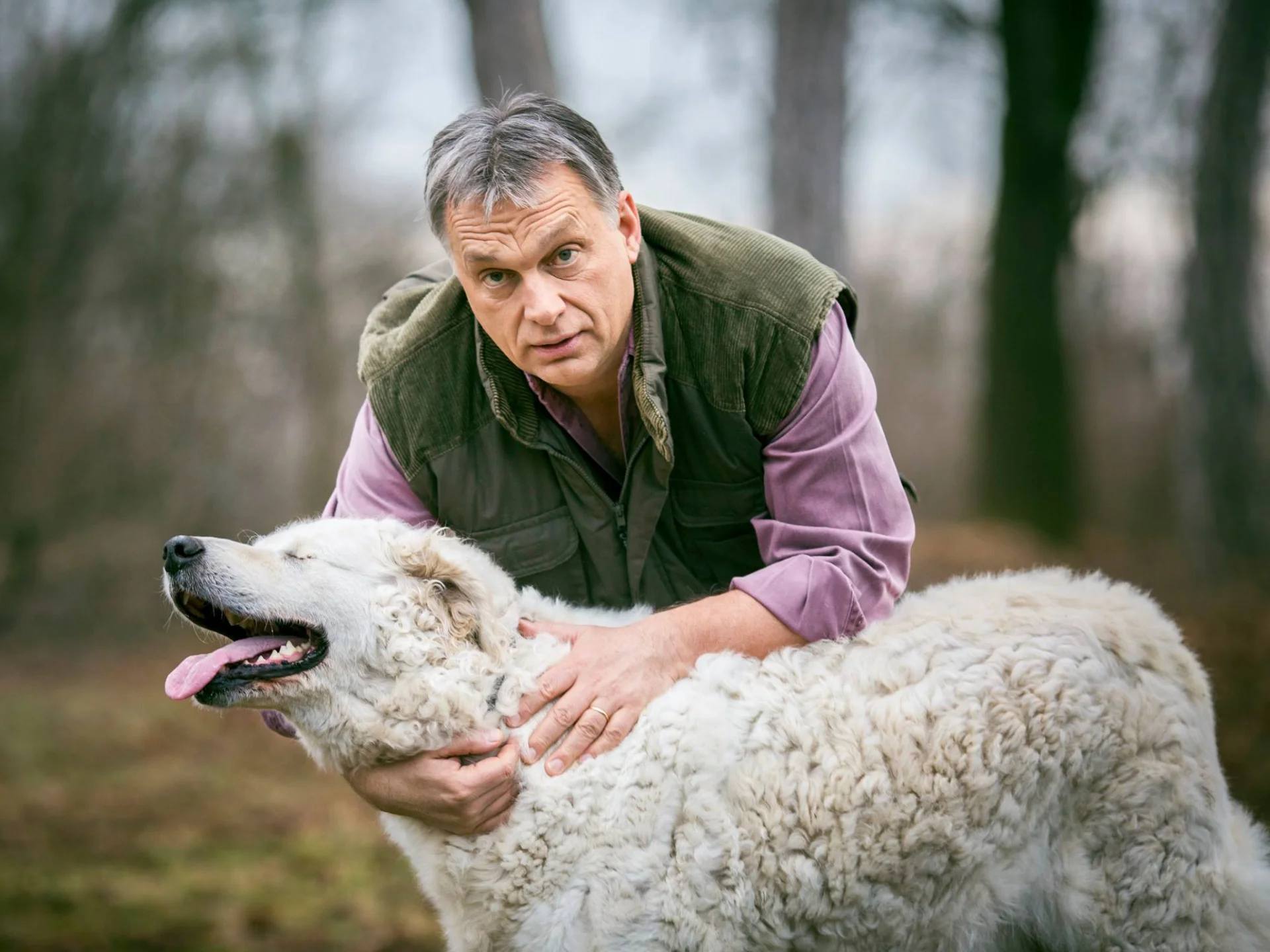 Viktor Orbán  z psem Narcyzem