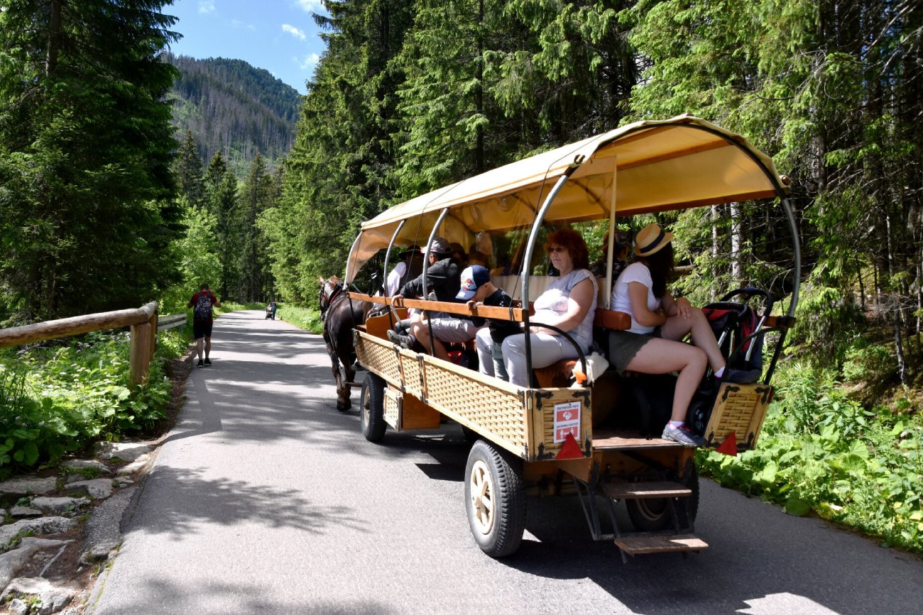 Konie na drodze do Morskiego Oka to obciach. Awantura w Sejmie