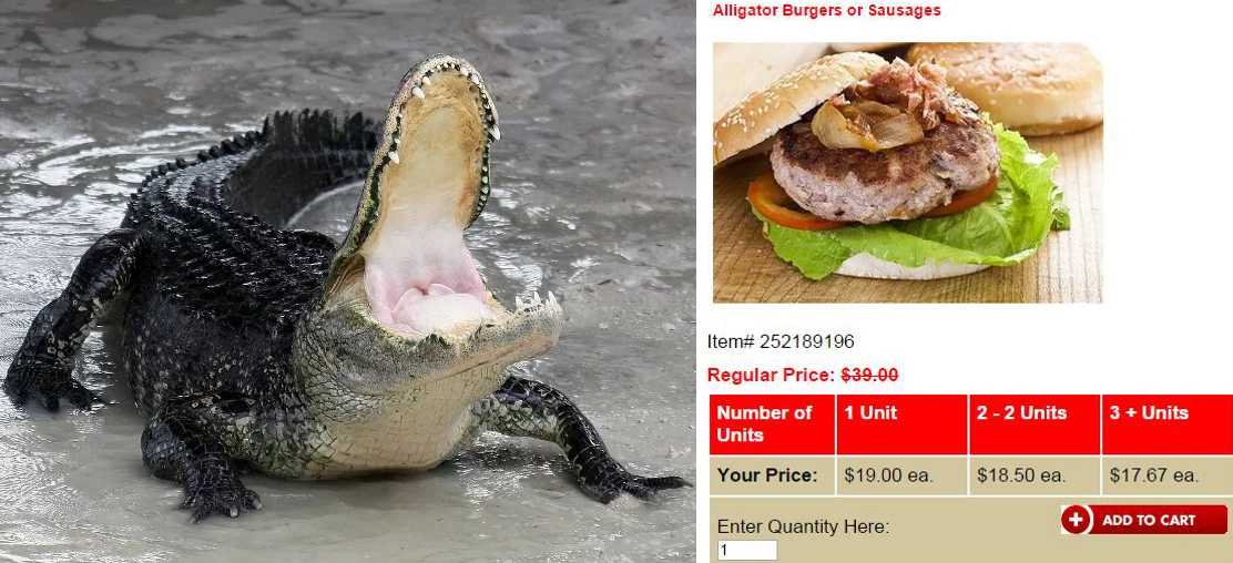 Burger z mniej sympatycznego zwierzęcia.