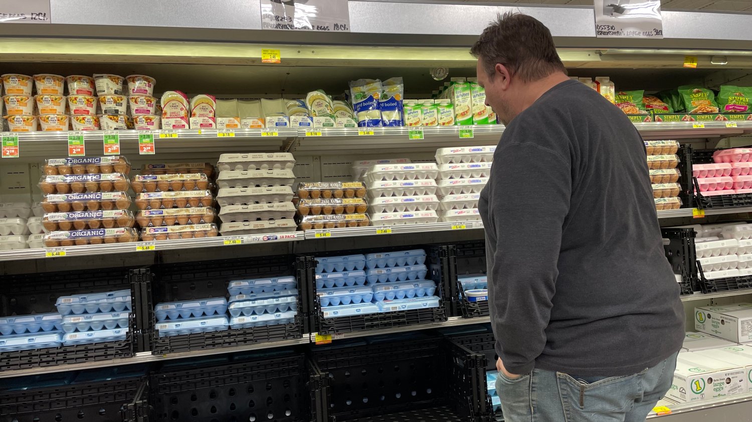 Dlaczego jajka są takie drogie? Ptasia grypa znów atakuje
