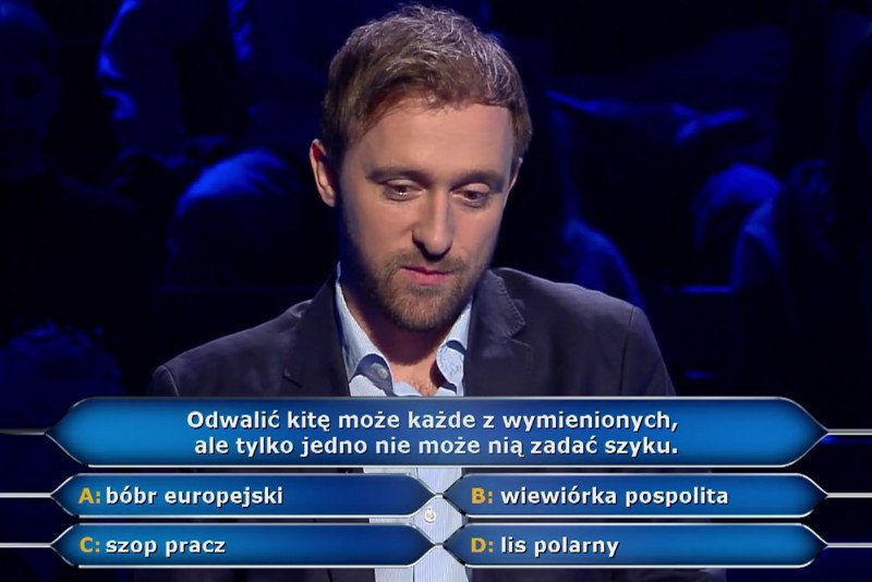 Pan Wojciech nie wiedział, że wiewiórka też ma puszysty ogon.