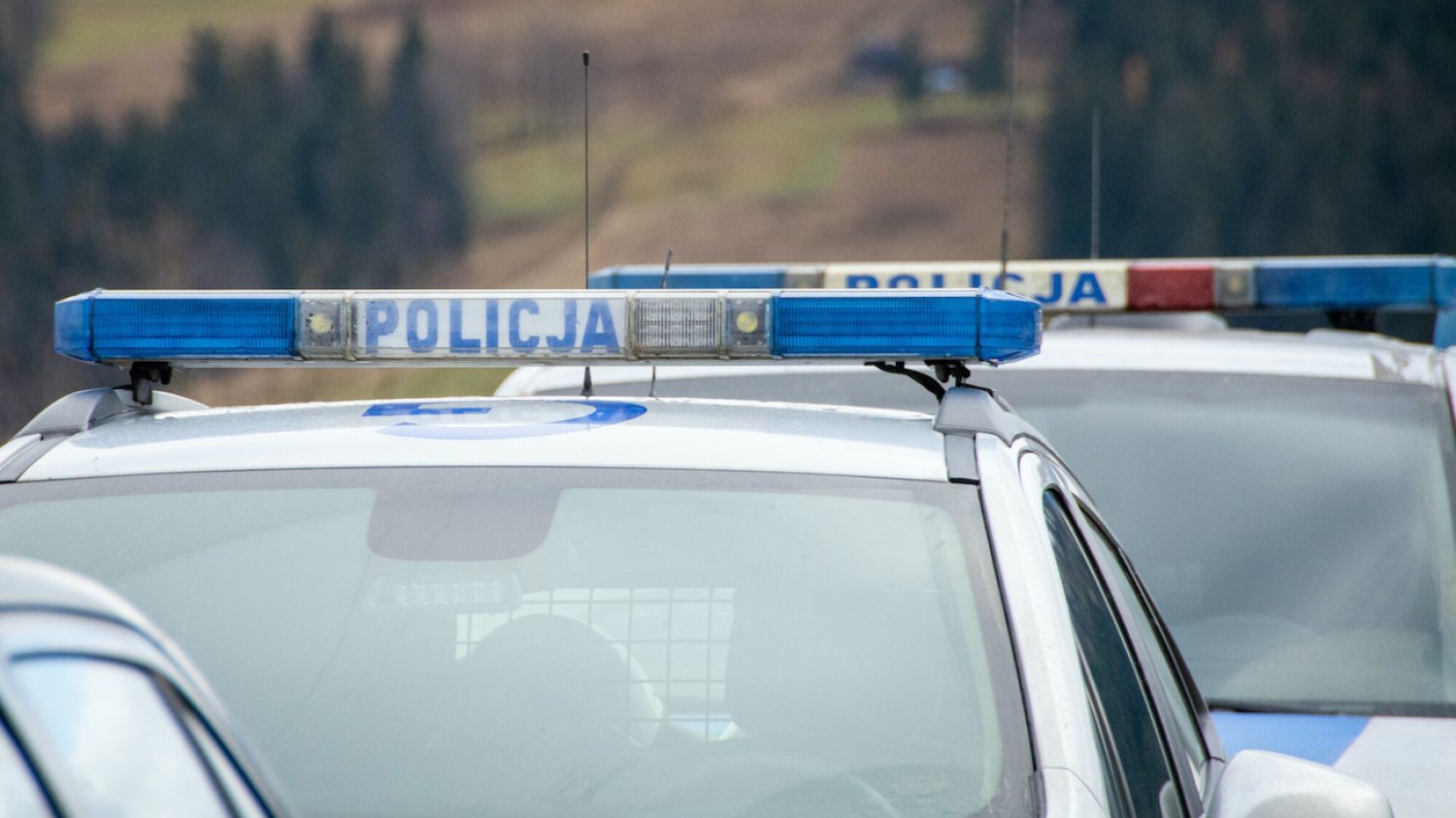 Odnaleziono 11-letnią Wiktorię z Sosnowca. Koniec procedury Child Alert.
