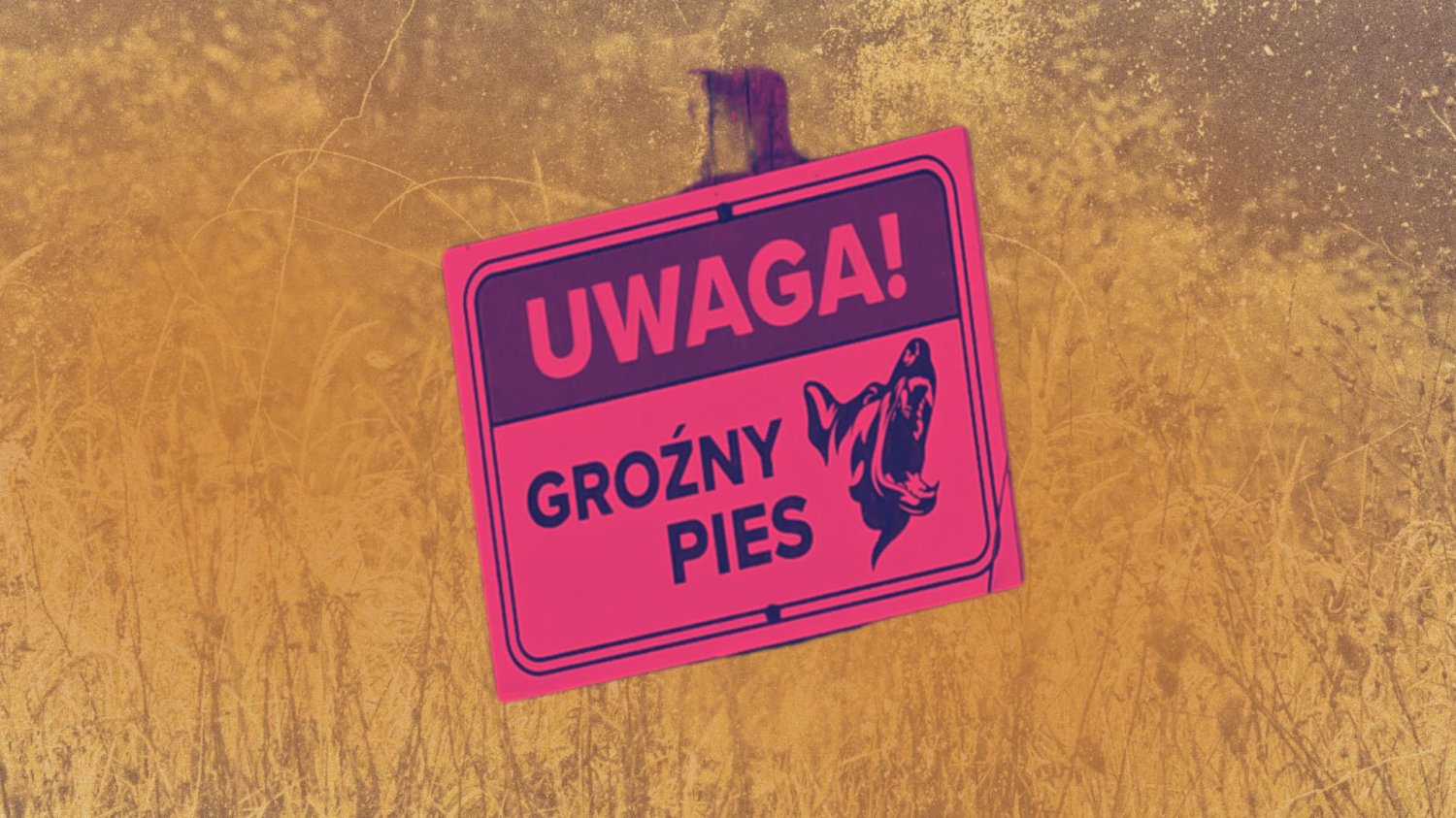 To tu psy rzuciły się na 46-letniego Marcina. W Raculi już dawno alarmowali Tabliczka z napisem "Uwaga, groźny pies"