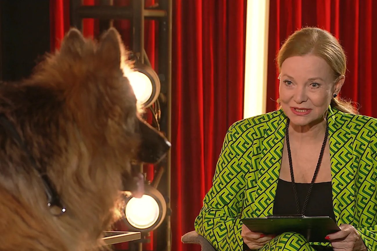 W programie TVP "Rola życia" przeprowadzono wywiad z psem.