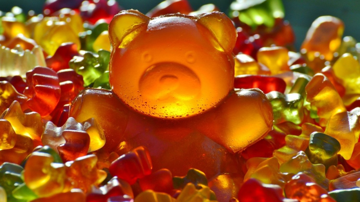 Żelki Haribo z marihuaną – konopie indyjskie w słodyczach wykryto w Holandii. Misie - żelki Haribo różnych rozmiarów.
