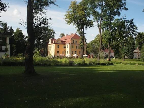 Pałac w Wiechlicach jest otoczony przez ogromny park ze starodrzewem.