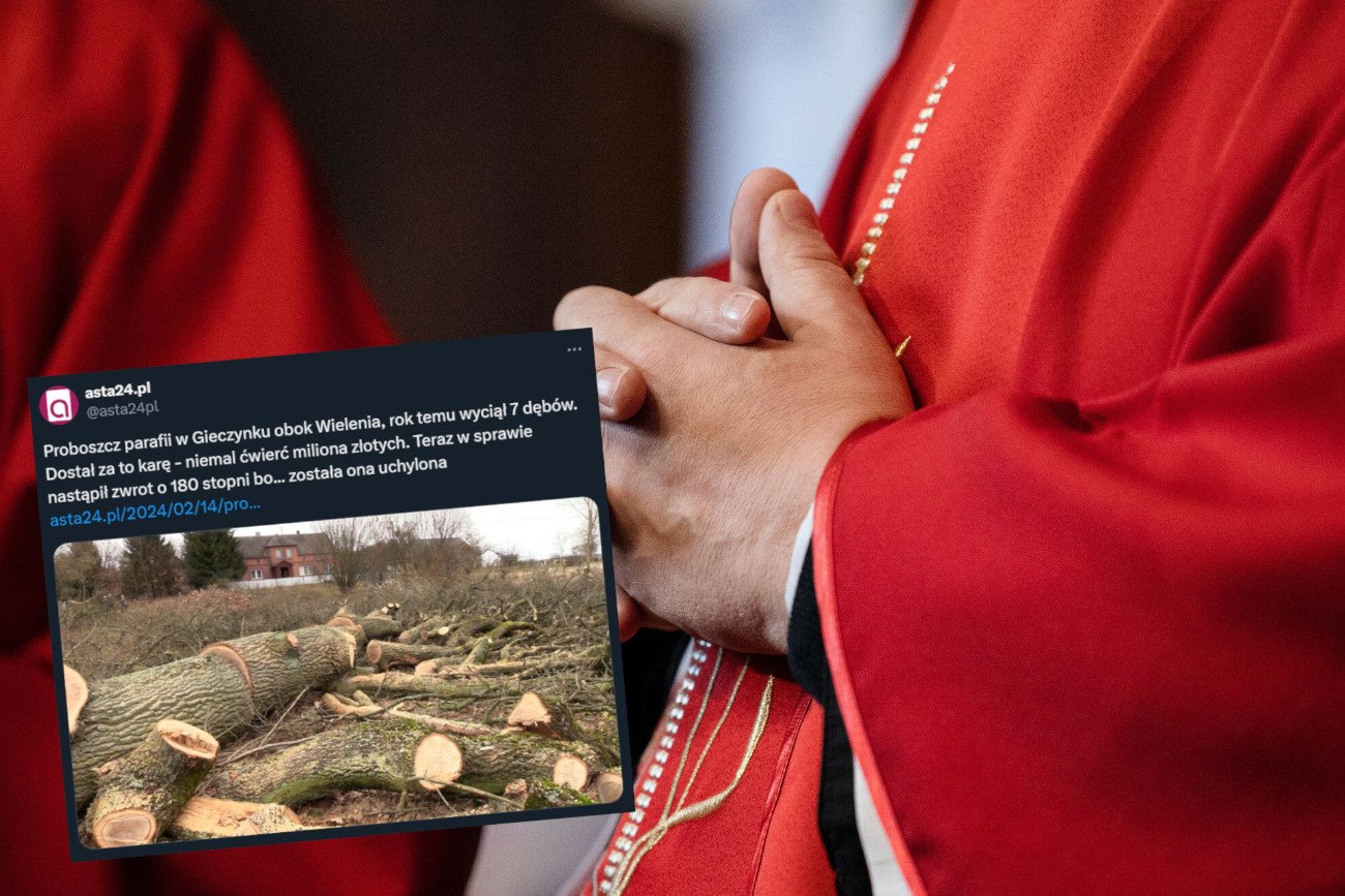 Proboszcz parafii we wsi Gieczynek wyciął stare dęby. Dostał karę, ale ją uchylono