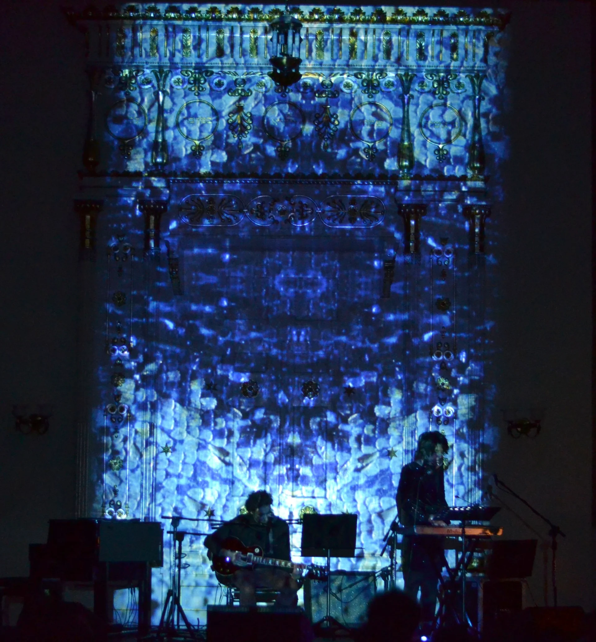 Birds of Passage | X Festiwal Ambientalny