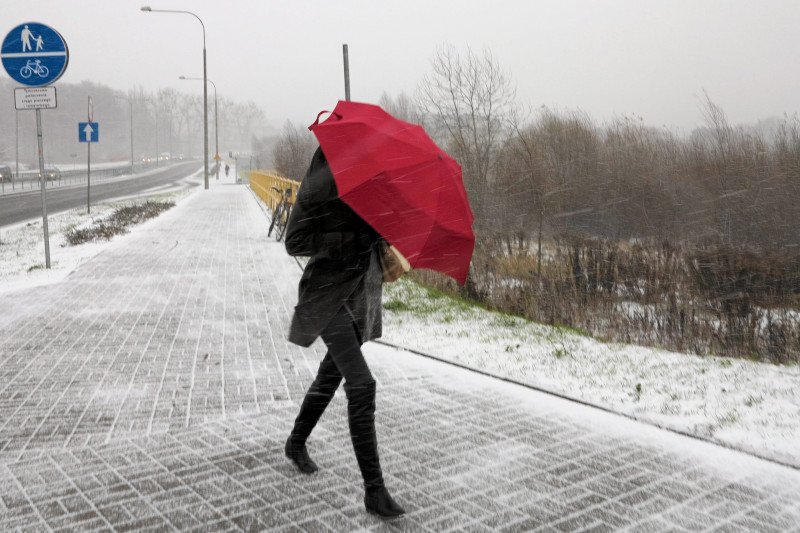 Synoptycy IMGW wydali ostrzeżenia pierwszego stopnia przed silnym wiatrem dla większości województw w Polsce.