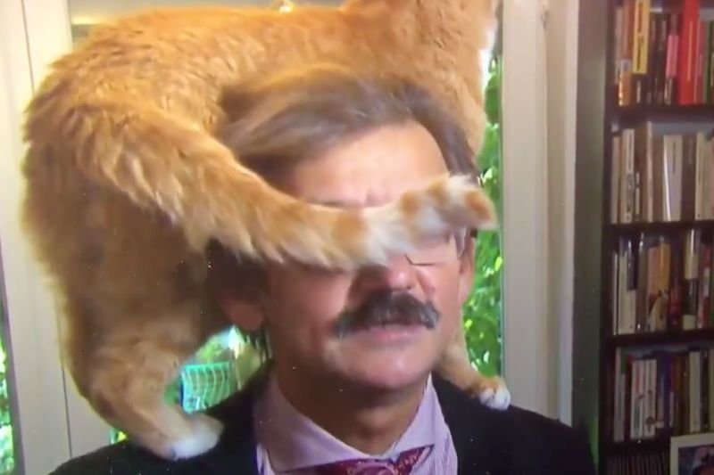 Dr Jerzy Targalski wraz ze swoim kotem pojawił się w reportażu holenderskiego programu Nieuwsuur.