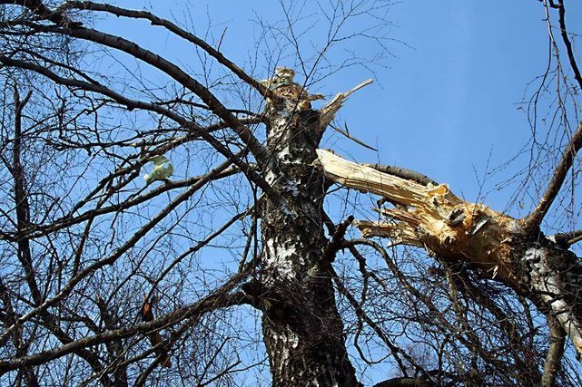 Wywiad i prokuratura posługiwała się błędnymi zdjęciami z miejsca katastrofy