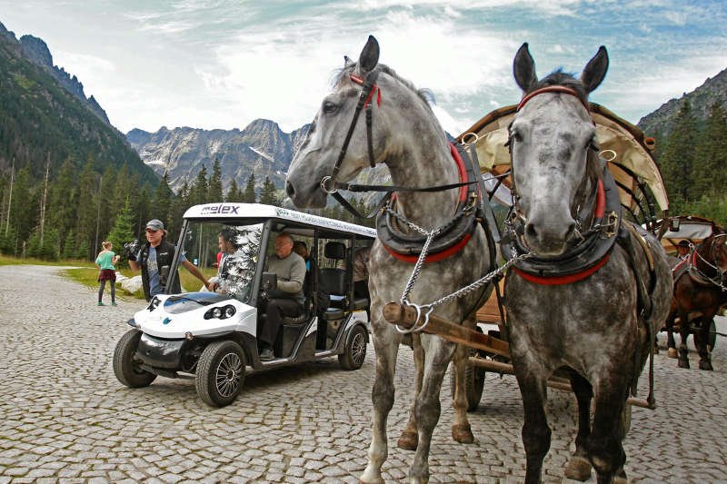 Protest przeciwko wykorzystywaniu koni w transporcie na Morskie Oko odbędzie się w niedzielę.