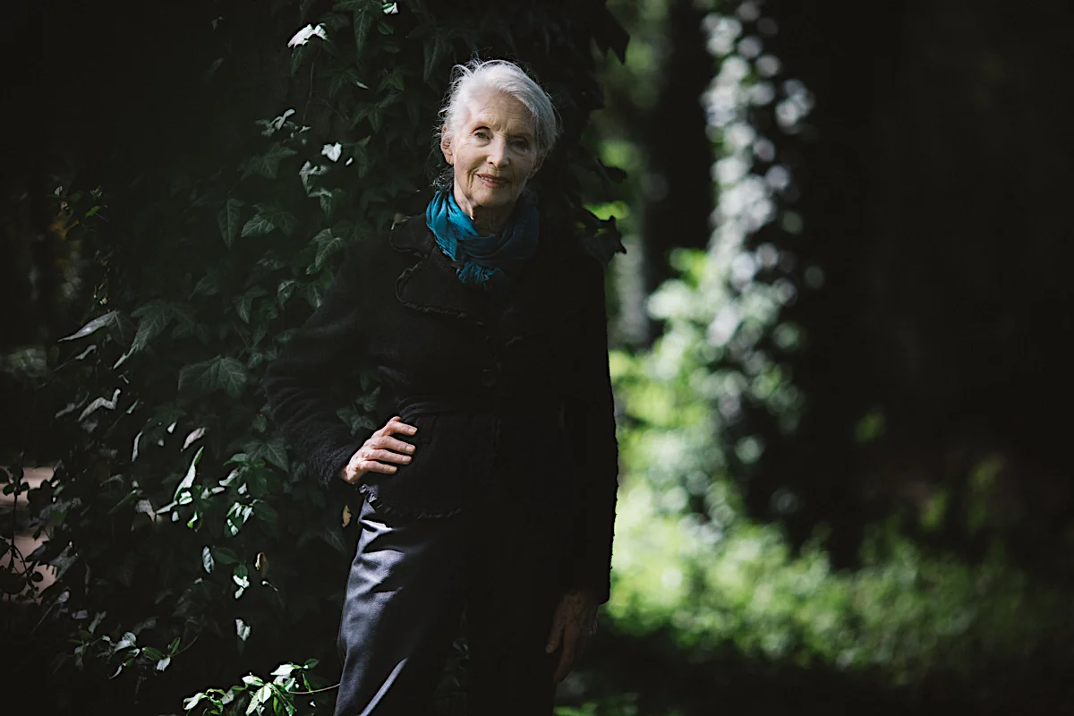Helena Norowicz związana była z warszawskim Teatrem Studio