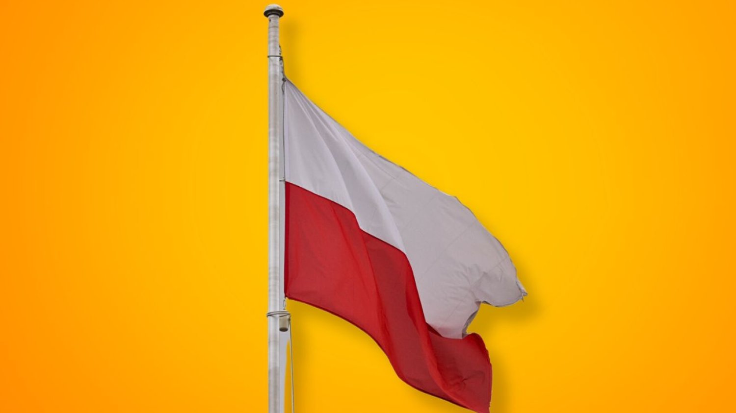 Nowy felieton Tomasza Lisa w naTemat: Mam dość martwienia się Polską