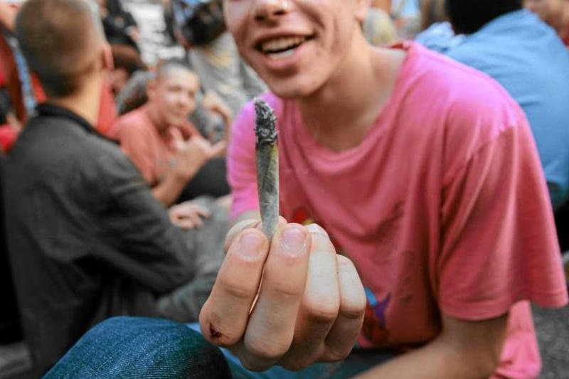 Coraz więcej miłośników trawki. Po marihuanę sięga 40 proc. maturzystów i co czwarty gimnazjalista
