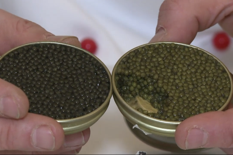 Materiał agencji Agence France Presse wieszczy ekspansję polskiego kawioru