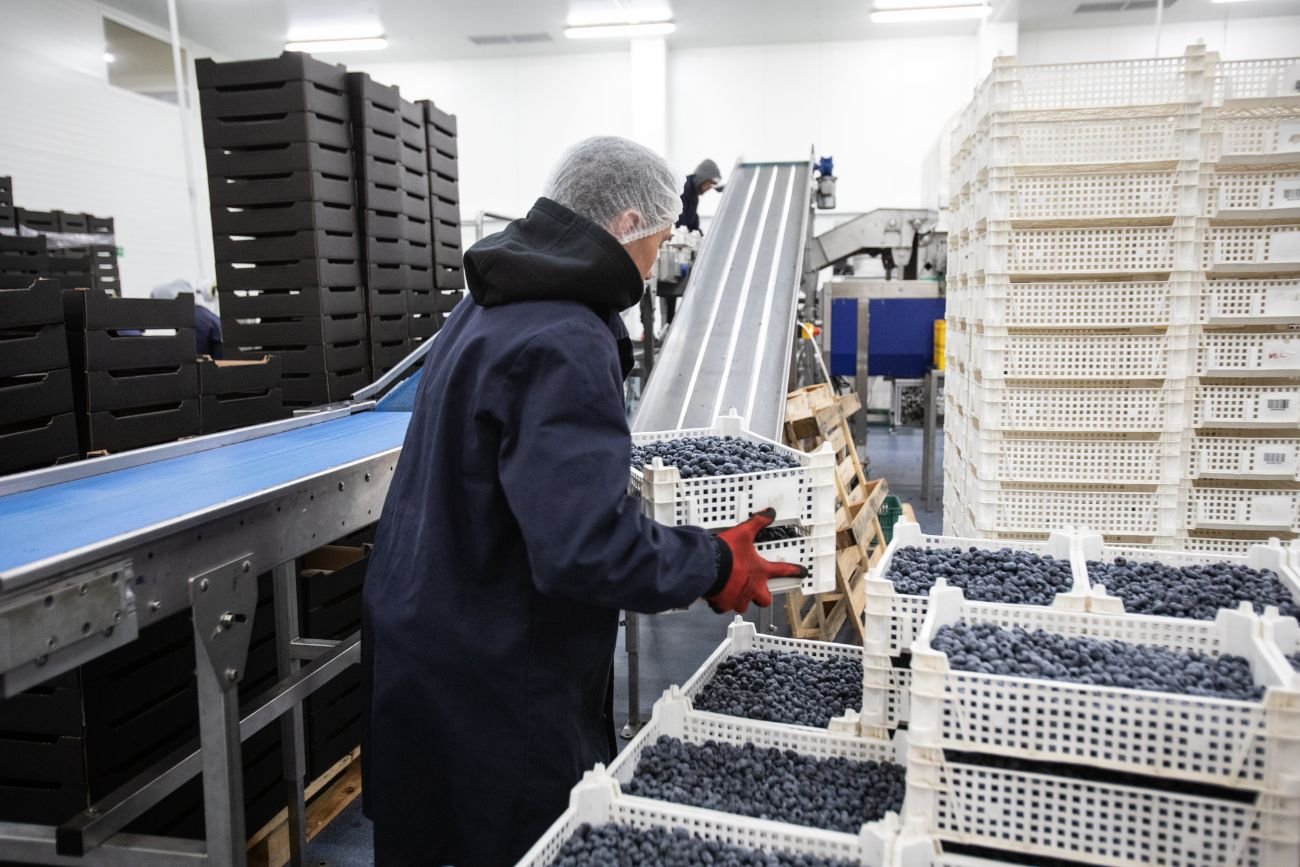 Brakuje tego owocu, a ceny szybują. Ten sezon może być trudny dla Polaków