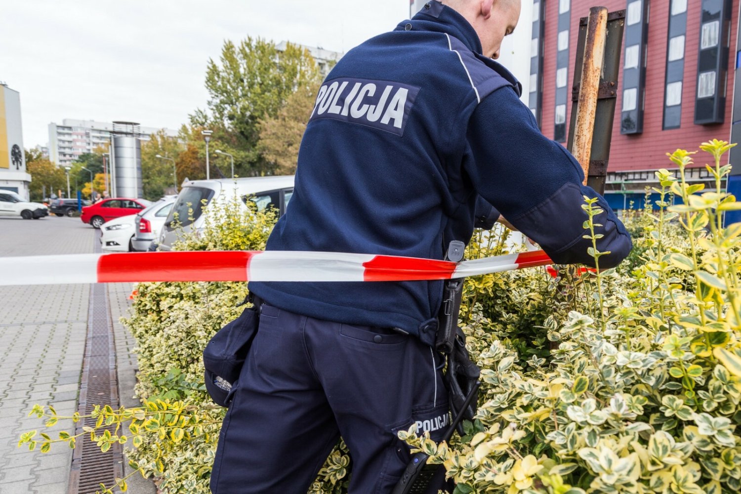 Policja. Zdjęcie ilustracyjne.